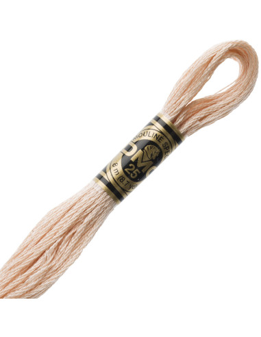 DMC Embroidery Thread Floss