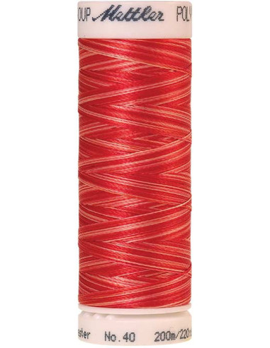 Fil à broder Poly sheen multicolor Mettler