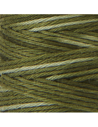 Fil sashiko ombré hidamari Lecien Cosmo 30 m