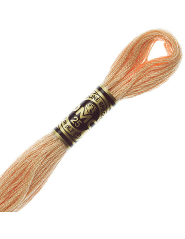 DMC Embroidery Thread Floss