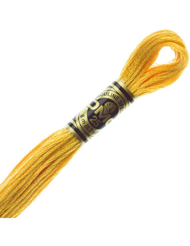 DMC Embroidery Thread Floss
