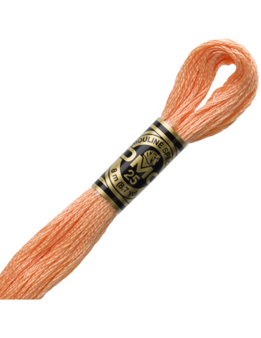 DMC Embroidery Thread Floss