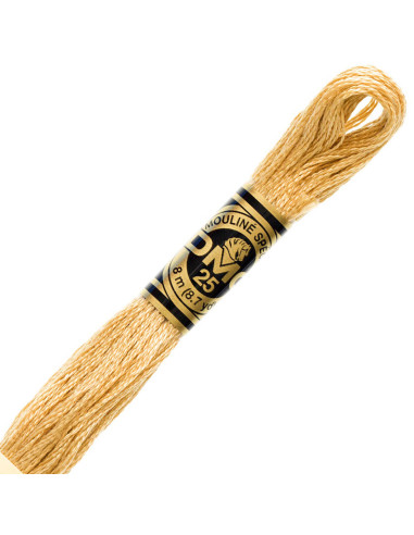DMC Embroidery Thread Floss
