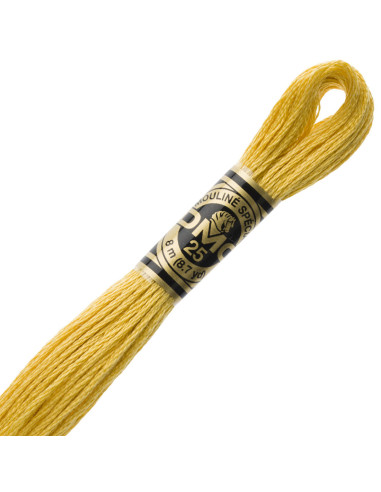 DMC Embroidery Thread Floss