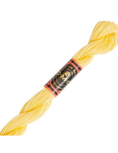 DMC Pearl Cotton Skein 8
