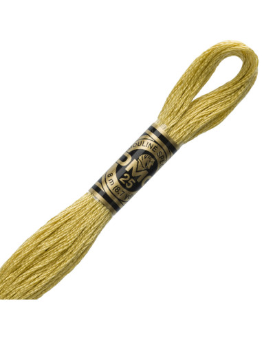 DMC Embroidery Thread Floss