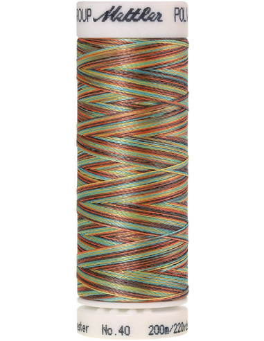 Fil à broder Poly sheen multicolor Mettler