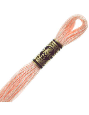 DMC Embroidery Thread Floss