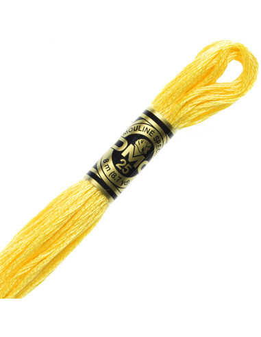 DMC Embroidery Thread Floss