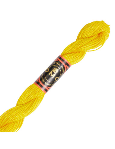 DMC Pearl Cotton Skein 8