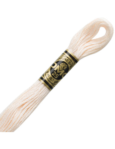 DMC Embroidery Thread Floss
