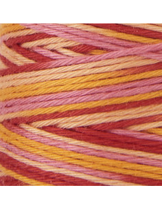Hidamari Lecien Cosmo multicolored sashiko thread 30 m 2
