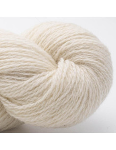 Bio Shetland Wool BC Yarn 2