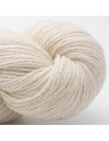 Bio Shetland Wool BC Yarn