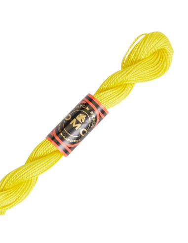 DMC Pearl Cotton Skein 8