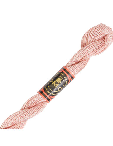 DMC Pearl Cotton Skein 8