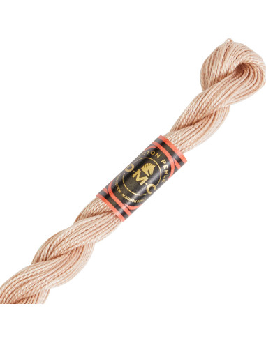 DMC Pearl Cotton Skein 8