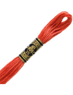 DMC Embroidery Floss 2