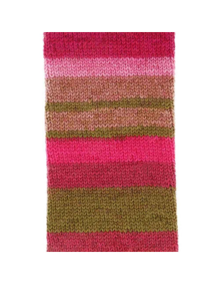 Laine pour chaussettes Scheepjes Arcadia