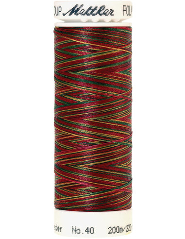 Fil à broder Poly sheen multicolor Mettler