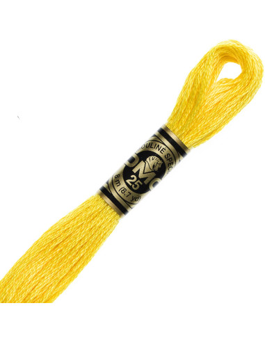 DMC Embroidery Thread Floss
