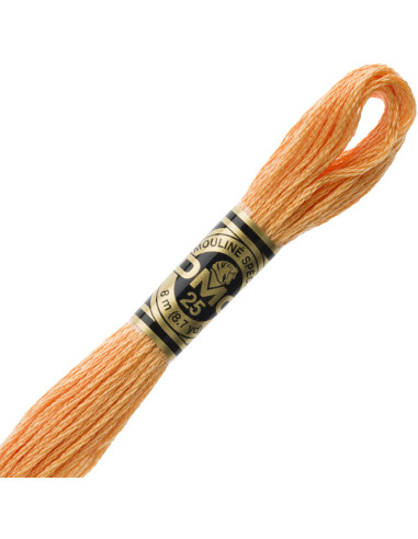 DMC Embroidery Thread Floss