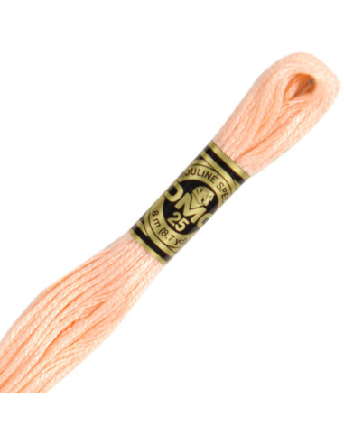 DMC Embroidery Thread Floss
