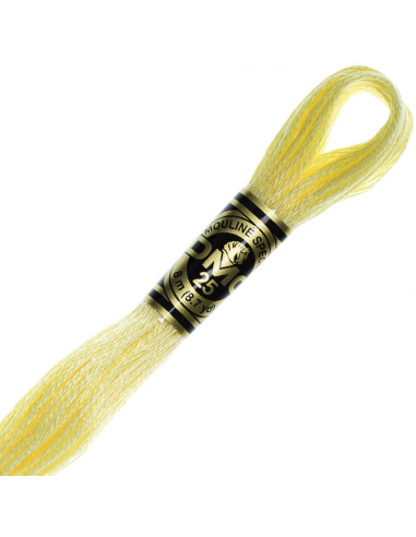 DMC Embroidery Thread Floss
