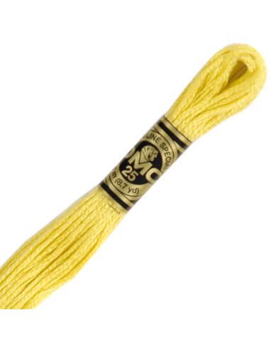 DMC Embroidery Thread Floss