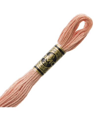 DMC Embroidery Thread Floss