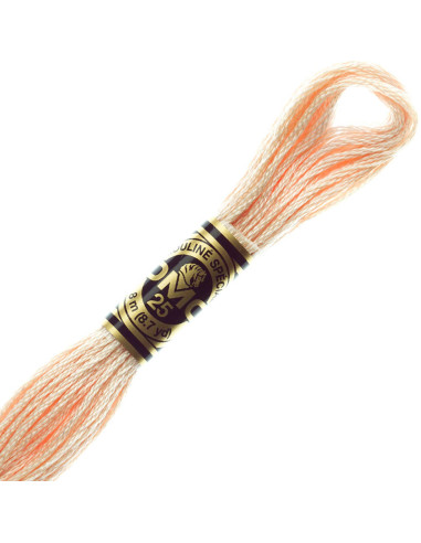 DMC Embroidery Thread Floss