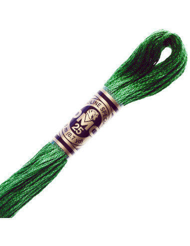 DMC Embroidery Thread Floss