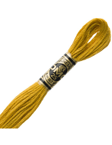 DMC Embroidery Thread Floss