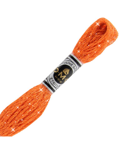 Fil à broder Mouliné Étoile DMC