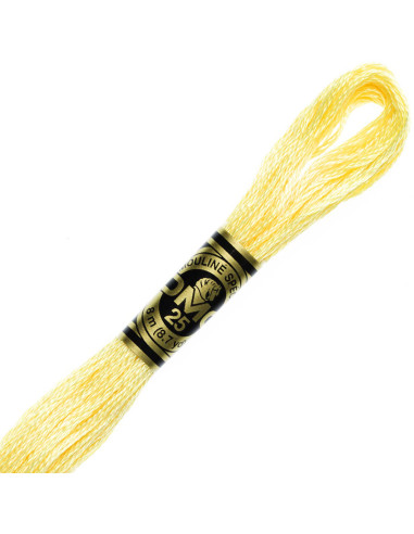 DMC Embroidery Thread Floss