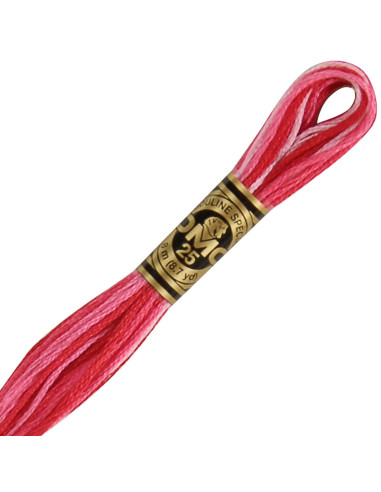 DMC Embroidery Thread Floss