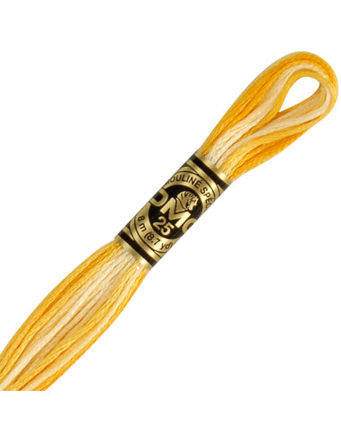 DMC Embroidery Thread Floss