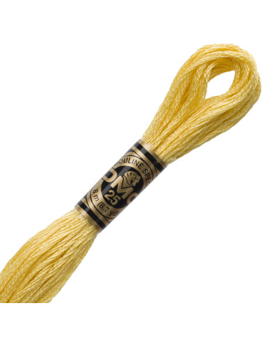DMC Embroidery Thread Floss
