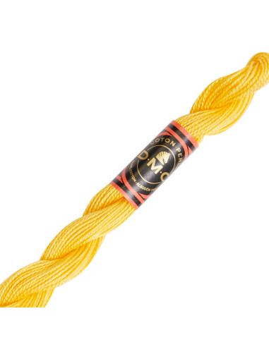 DMC Pearl Cotton Skein 8