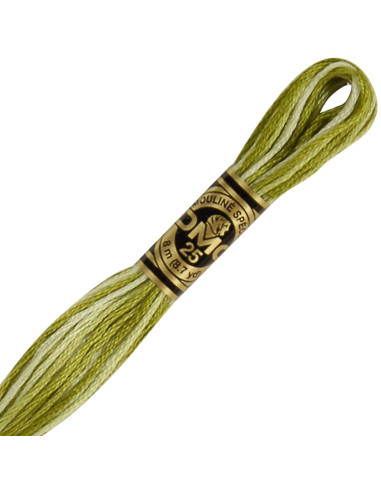DMC Embroidery Thread Floss