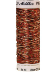 Mettler Polysheen multicolor embroidery thread 2