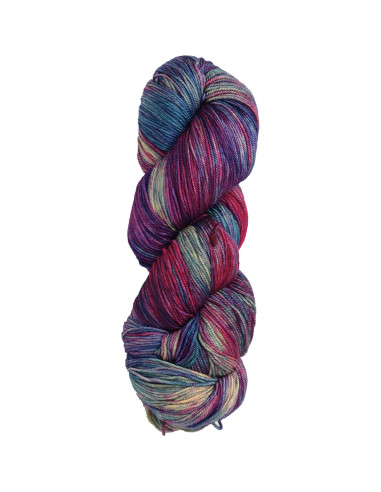 Laine à chaussettes Sock Malabrigo