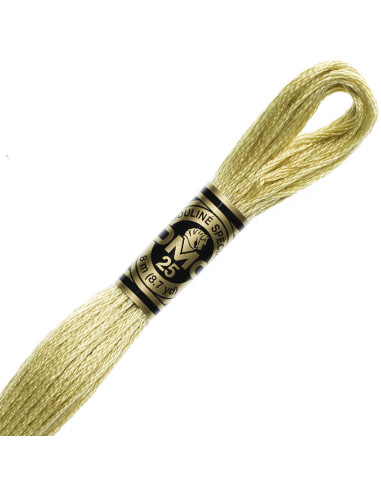 DMC Embroidery Thread Floss