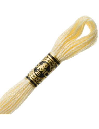 DMC Embroidery Thread Floss