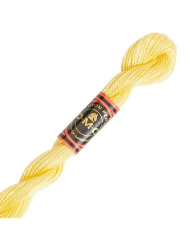 DMC Pearl Cotton Skein 8