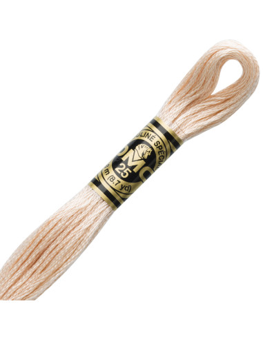 DMC Embroidery Thread Floss