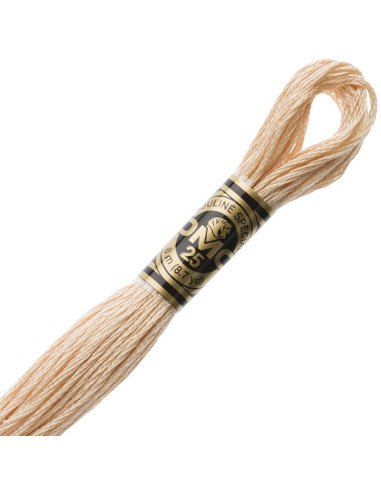 DMC Embroidery Thread Floss