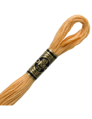 DMC Embroidery Thread Floss