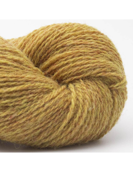 Bio Shetland Wool BC Yarn