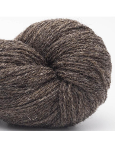 Bio Shetland Wool BC Yarn